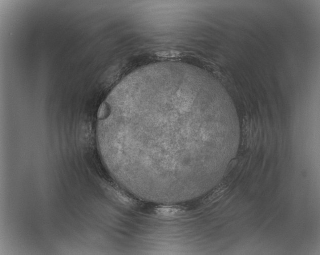 X0000063470614200602101742