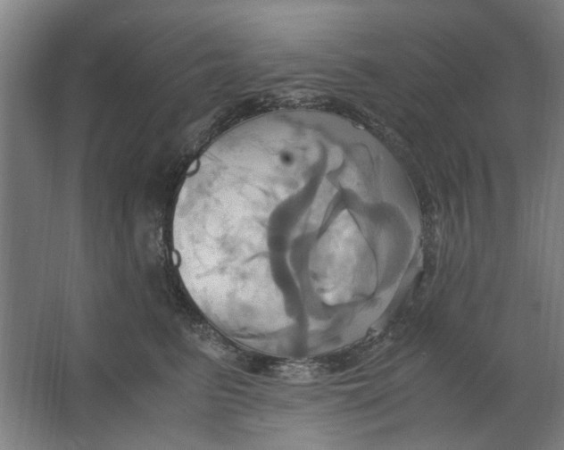 X0000063470615200602101742