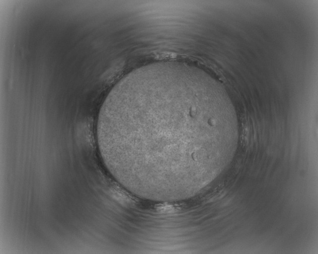 X0000063470616200602101742