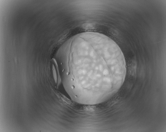 X0000063470618200602101742