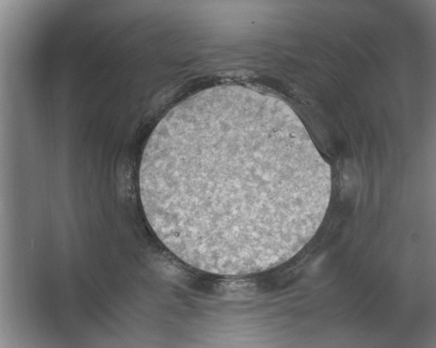 X0000063470619200602101742