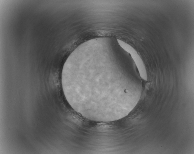 X0000063470620200602101742