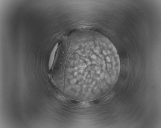 X0000063470623200602101742