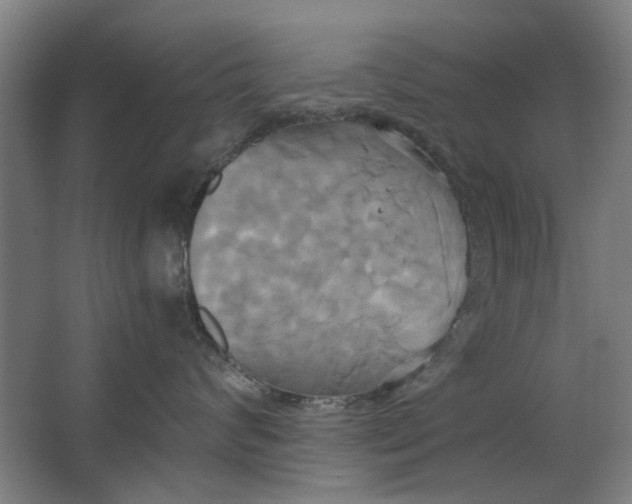 X0000063470624200602101742