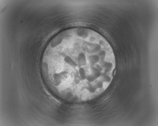 X0000063470625200602101741