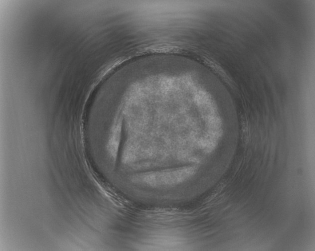 X0000063470626200602101741