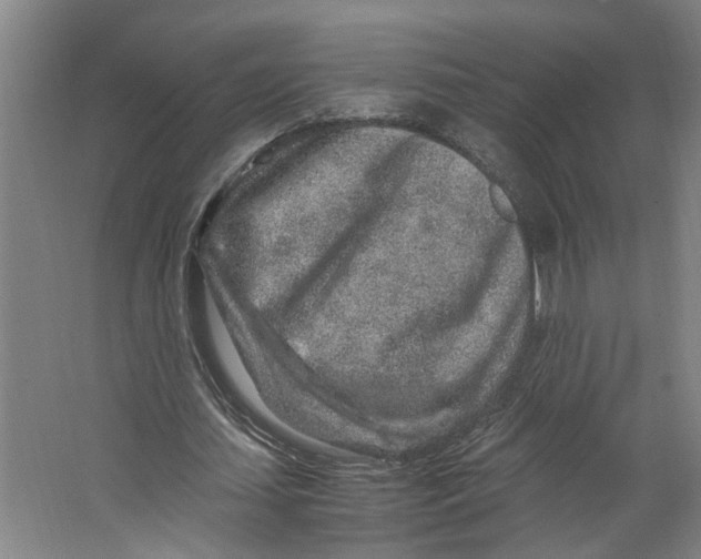 X0000063470627200602101741