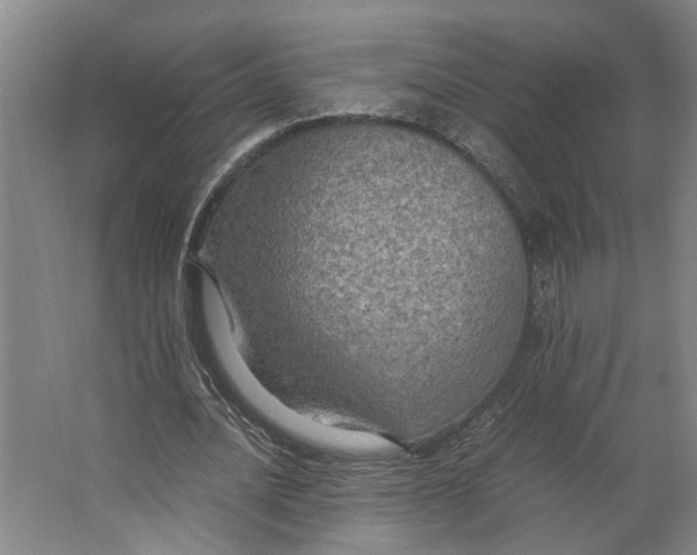 X0000063470628200602101741