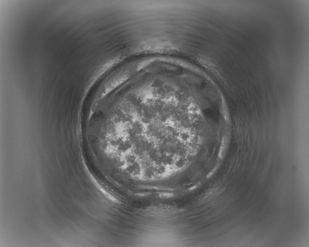 X0000063470630200602101741