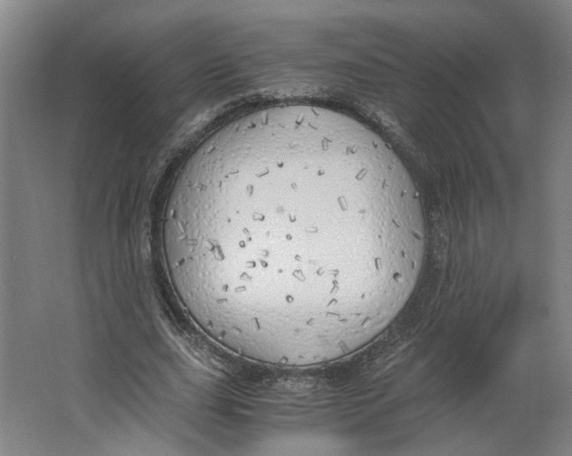 X0000063470631200602101741