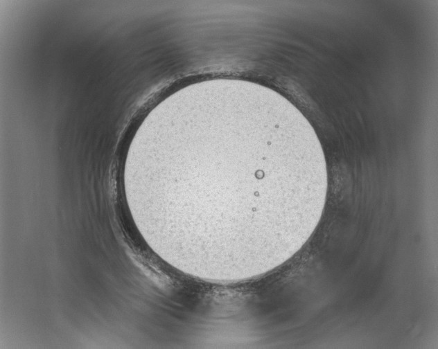 X0000063470632200602101741