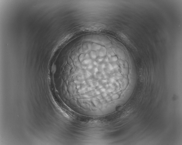 X0000063470634200602101741