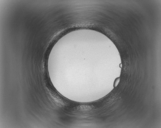 X0000063470636200602101741