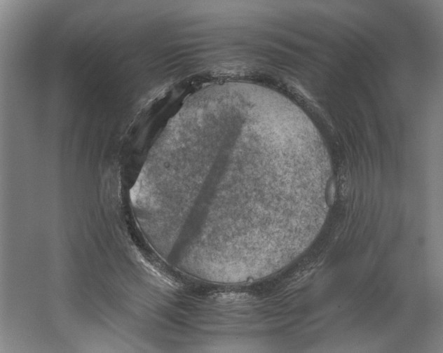 X0000063470637200602101741