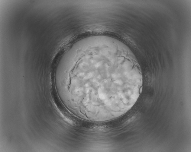 X0000063470638200602101741