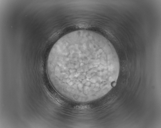 X0000063470639200602101741