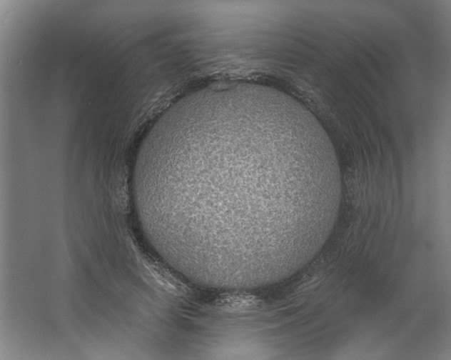 X0000063470642200602101741