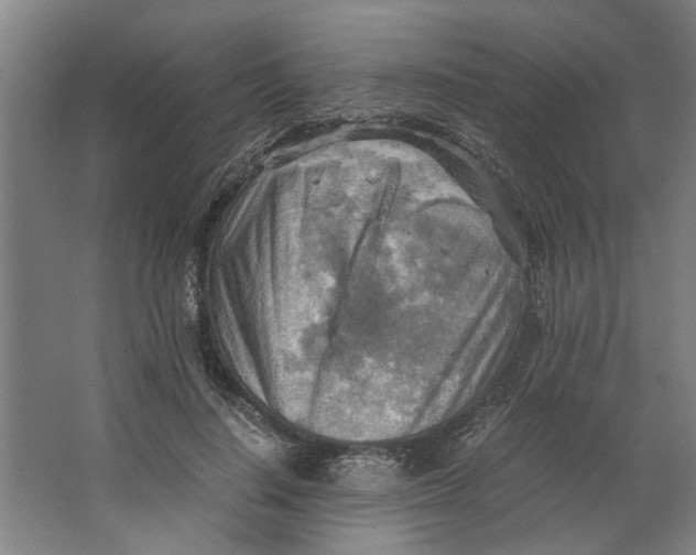 X0000063470644200602101741