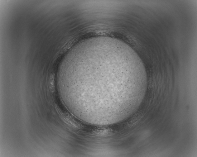 X0000063470646200602101741