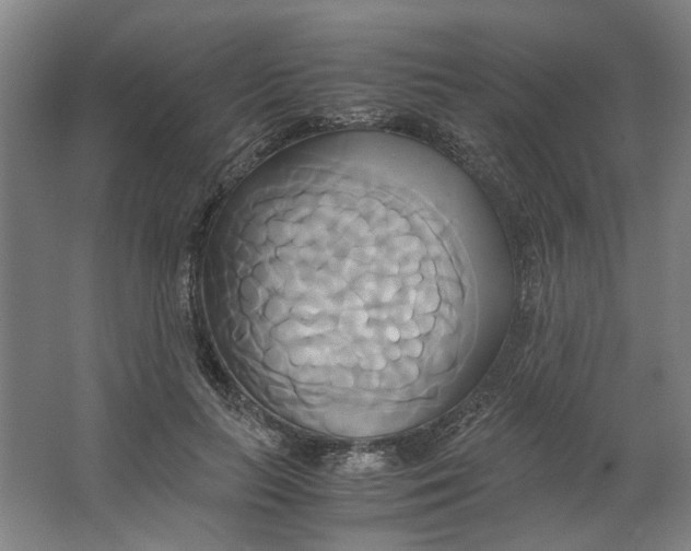 X0000063470647200602101741