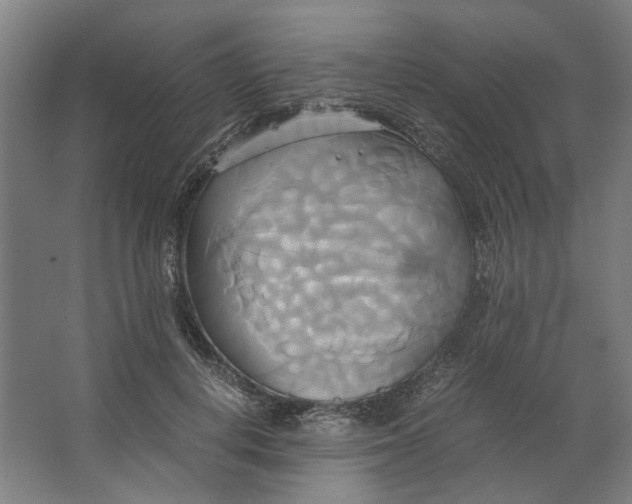 X0000063470648200602101741