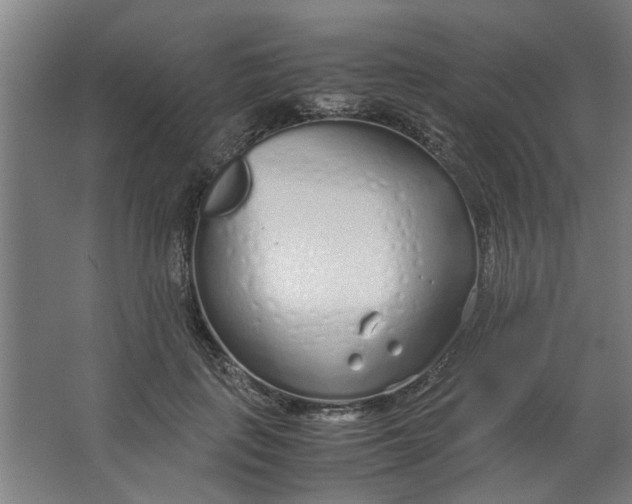 X0000063470651200602101741