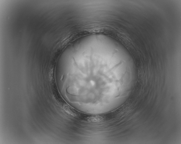 X0000063470652200602101742