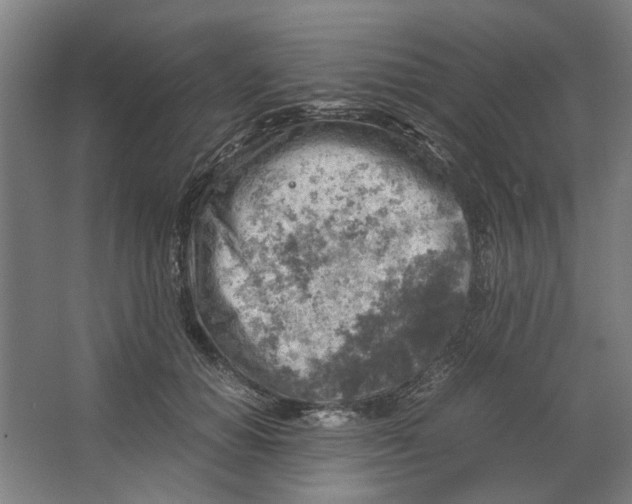 X0000063470654200602101742