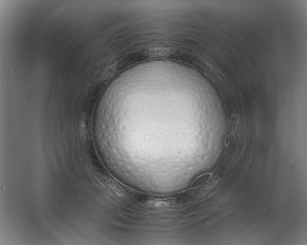 X0000063470655200602101742