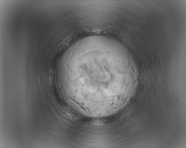 X0000063470656200602101742