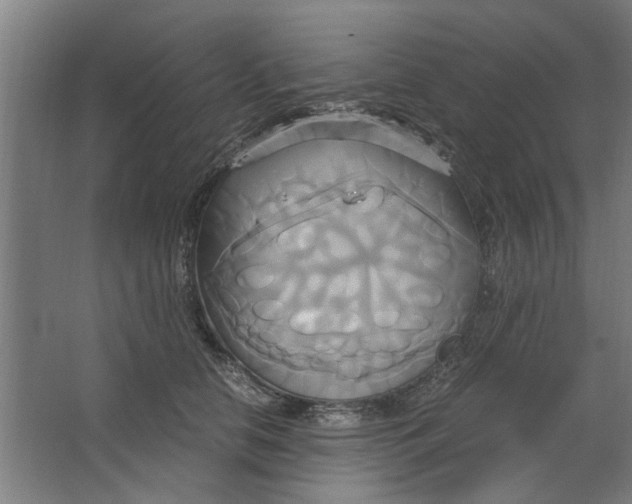 X0000063470658200602101742