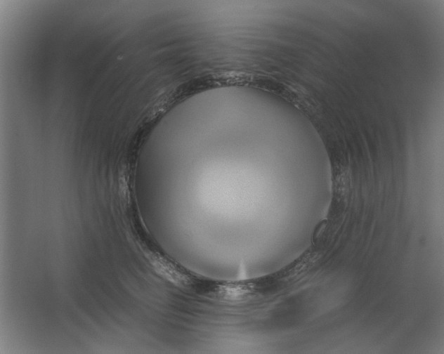 X0000063470662200602101742