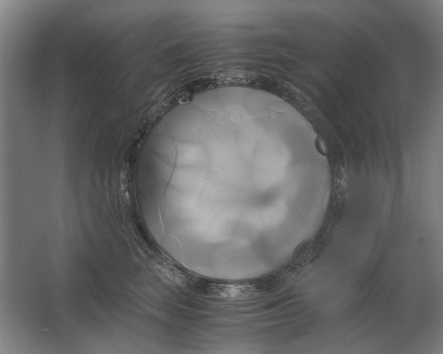 X0000063470663200602101742