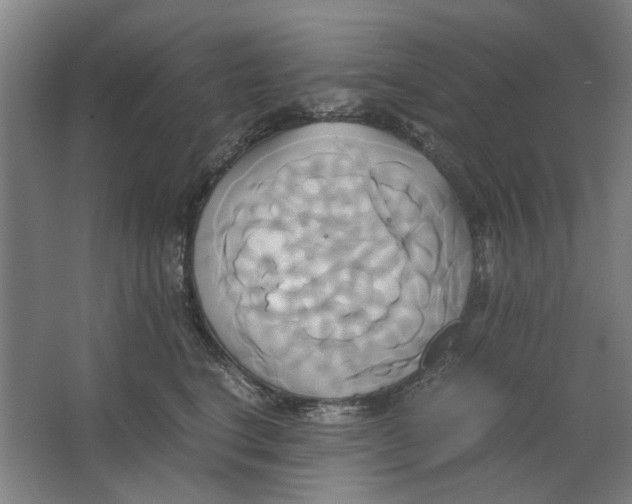 X0000063470664200602101742