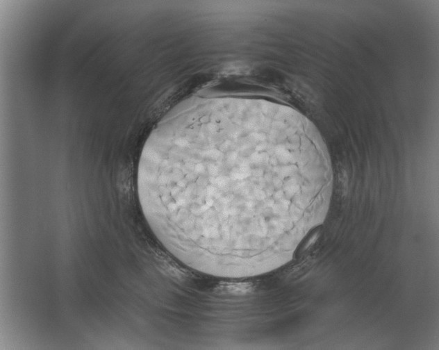 X0000063470665200602101742