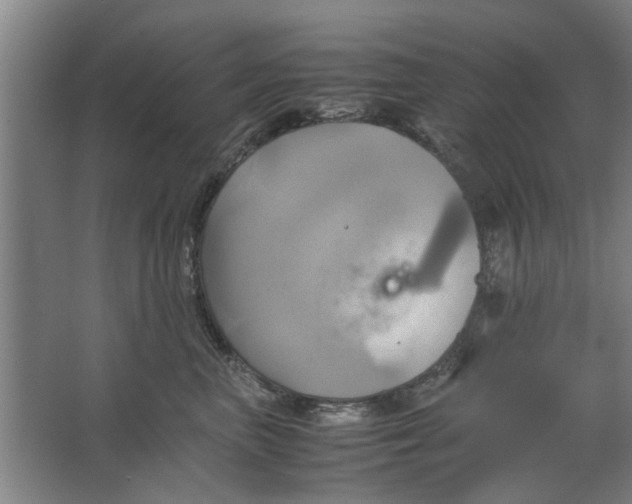 X0000063470667200602101742