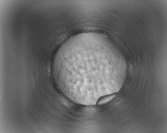 X0000063470668200602101742