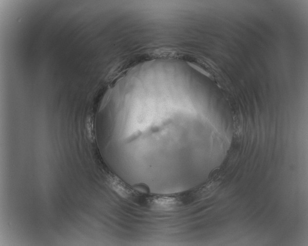 X0000063470669200602101742