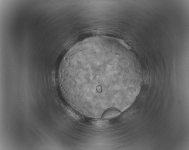 X0000063470670200602101742