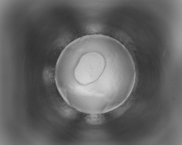 X0000063470672200602101742