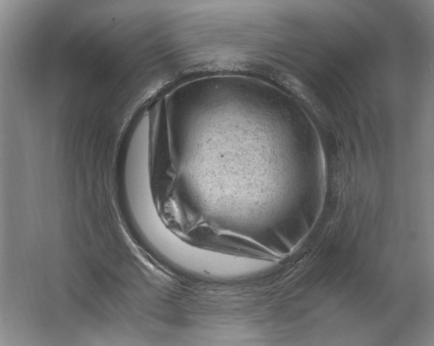 X0000063470677200602101741