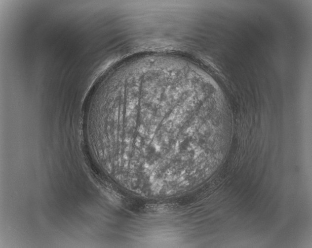 X0000063470679200602101741