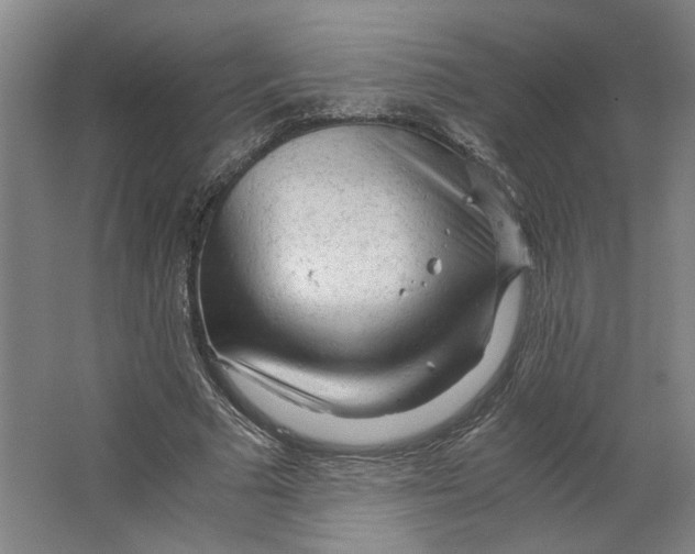 X0000063470681200602101741