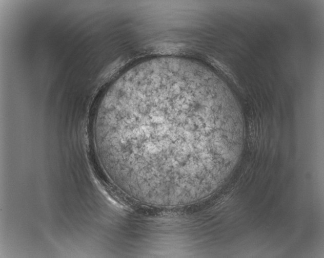 X0000063470682200602101741