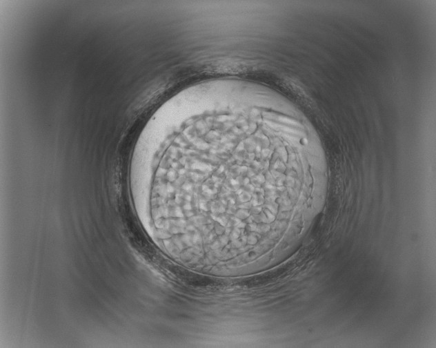 X0000063470683200602101741