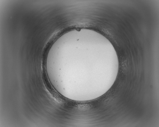 X0000063470686200602101741