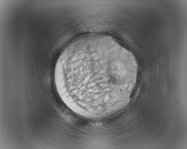 X0000063470687200602101741