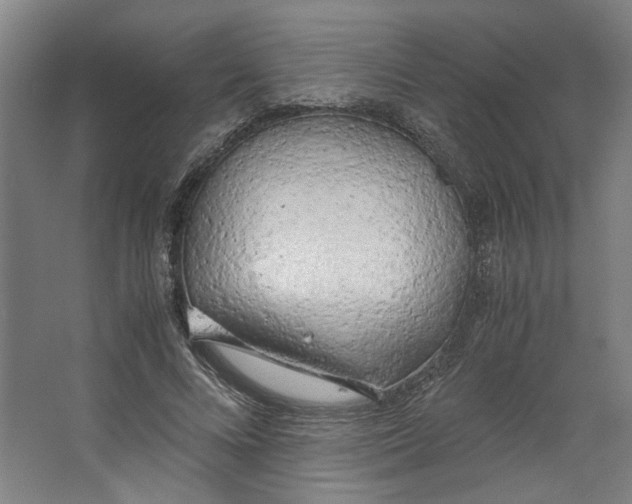 X0000063470688200602101741