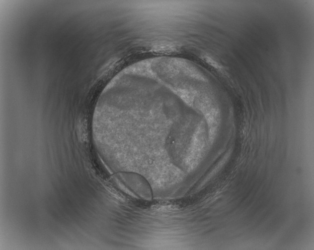 X0000063470689200602101741