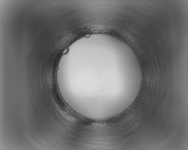 X0000063470690200602101741